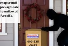 Porch Pirate